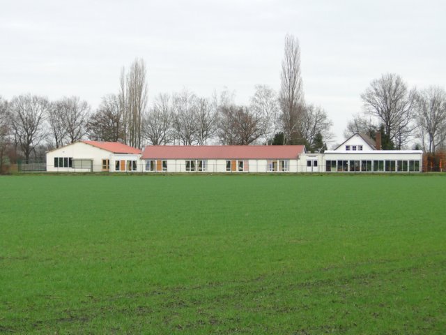 NWK 2012 046.jpg